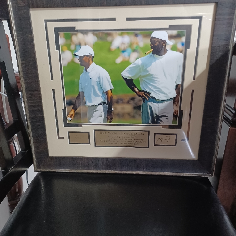 Picture Michel Jordan and Tiger Wood golf